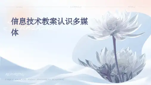 信息技术教案认识多媒体