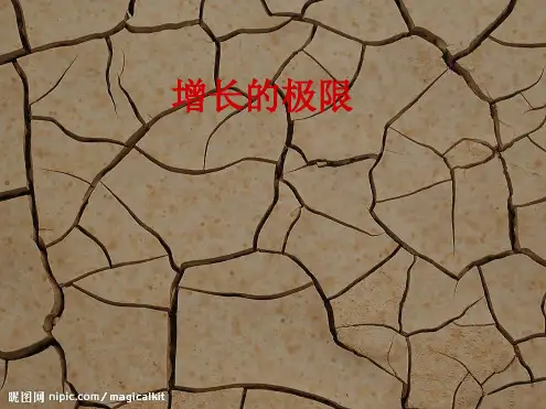 增长的极限