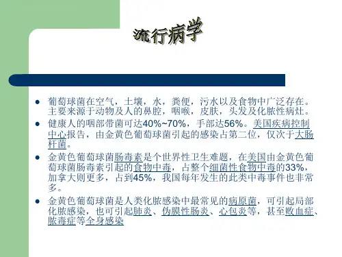 金黄色葡萄球菌ppt课件_1