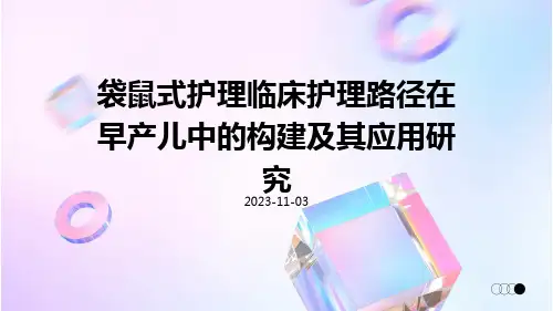 袋鼠式护理临床护理路径在早产儿中的构建及其应用研究