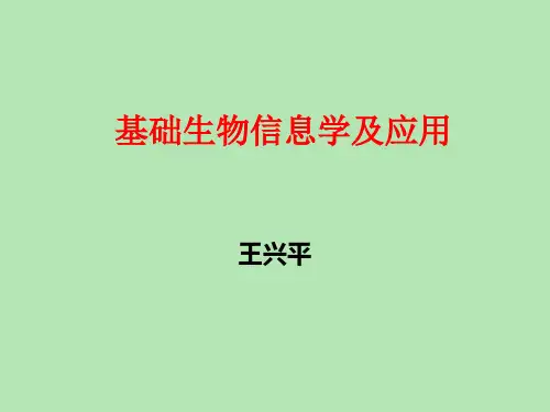 mega操作过程-多序列比对、进化树、
