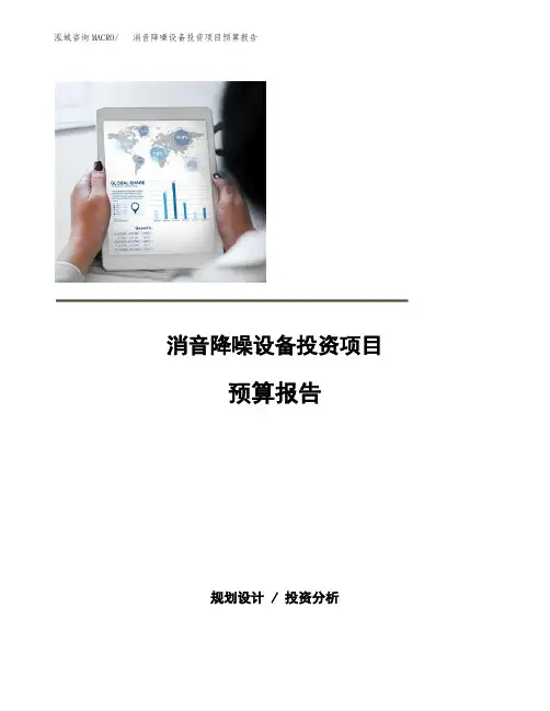 消音降噪设备投资项目预算报告