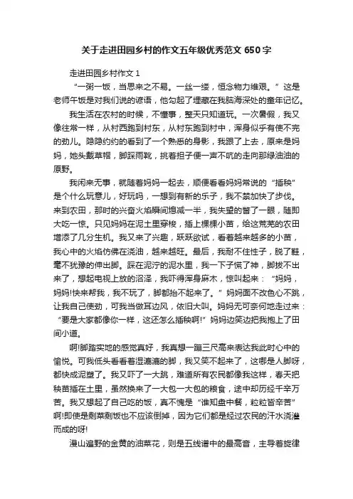 关于走进田园乡村的作文五年级优秀范文650字