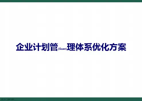 企业计划管理体系优化方案综合ppt