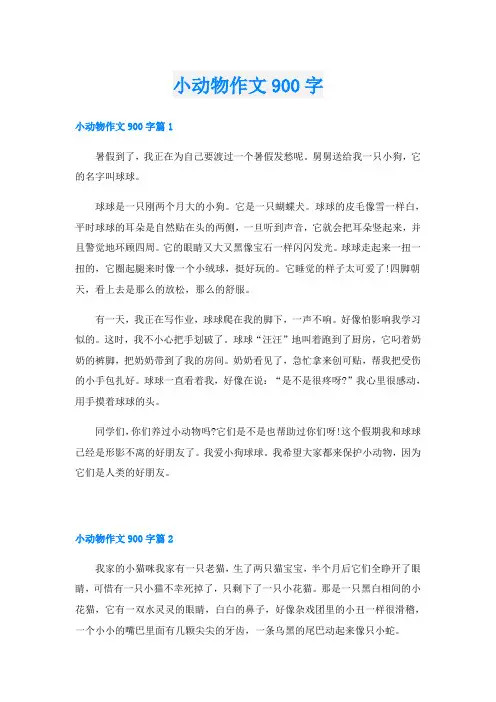 小动物作文900字