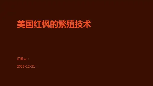 美国红枫的繁殖技术