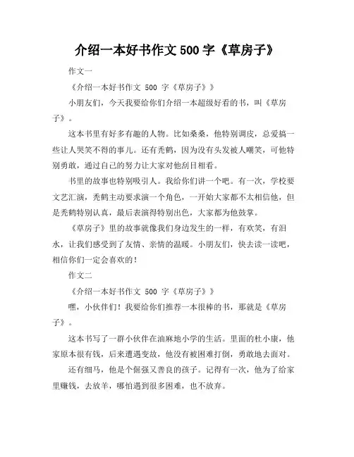 介绍一本好书作文500字《草房子》