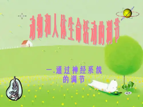 神经调节(公开课)PPT幻灯片PPT