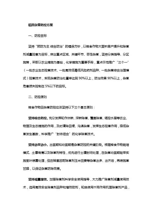 稻田杂草防控方案