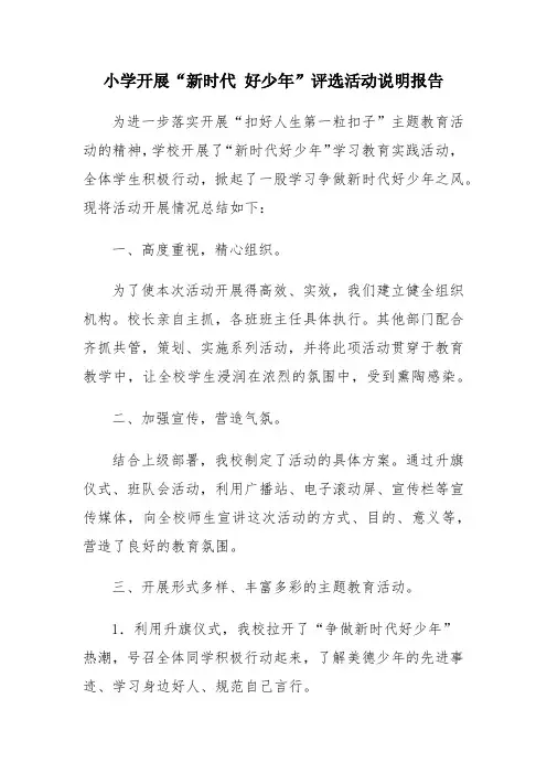 小学开展新时代好少年评选活动说明报告