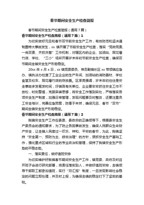 春节期间安全生产检查简报