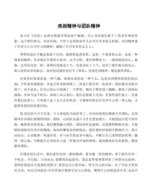 亮剑精神与团队精神