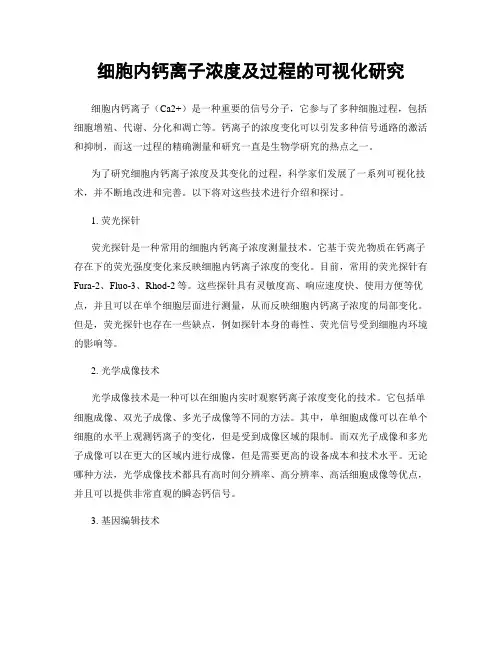 细胞内钙离子浓度及过程的可视化研究