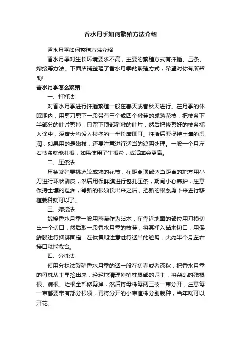 香水月季如何繁殖方法介绍