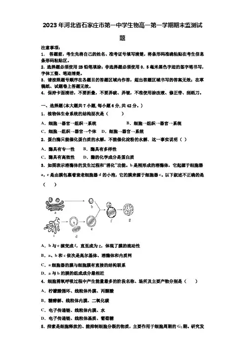 2023年河北省石家庄市第一中学生物高一第一学期期末监测试题含解析