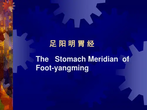 足阳明胃经课件