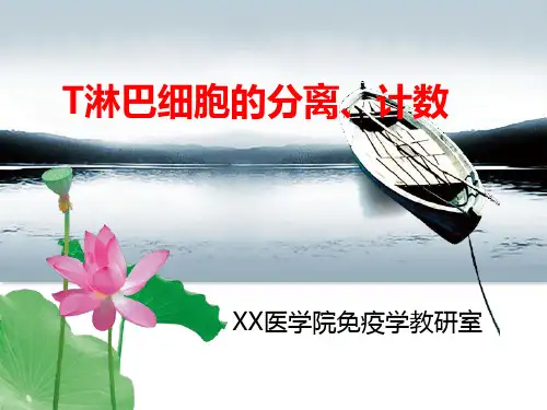 详细的淋巴细胞的分离、计数图文教程