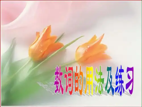 《数词的用法及练习》PPT课件