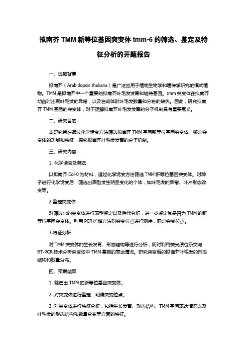 拟南芥TMM新等位基因突变体tmm-6的筛选、鉴定及特征分析的开题报告
