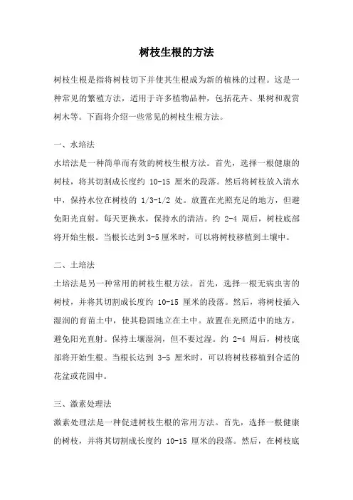 树枝生根的方法