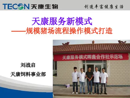 规模猪场流程操作打造