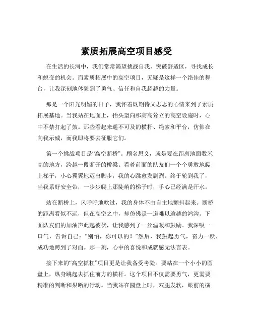 素质拓展高空项目感受