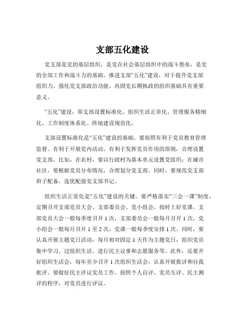 支部五化建设