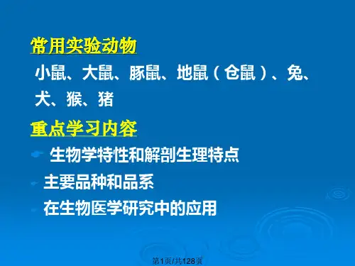 高技术局部战争及军事医学第四军医大学.pptx
