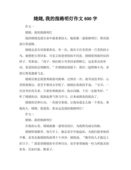 姥姥,我的指路明灯作文600字