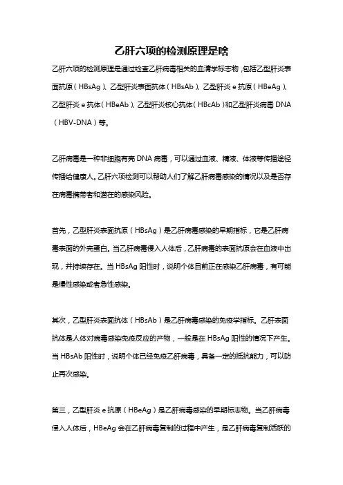 乙肝六项的检测原理是啥
