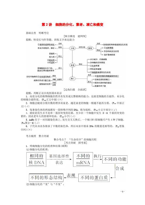高考生物复习细胞的分化衰老凋亡和癌变讲义