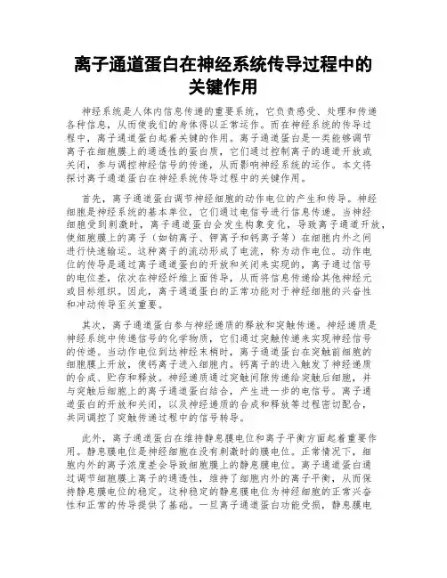 离子通道蛋白在神经系统传导过程中的关键作用
