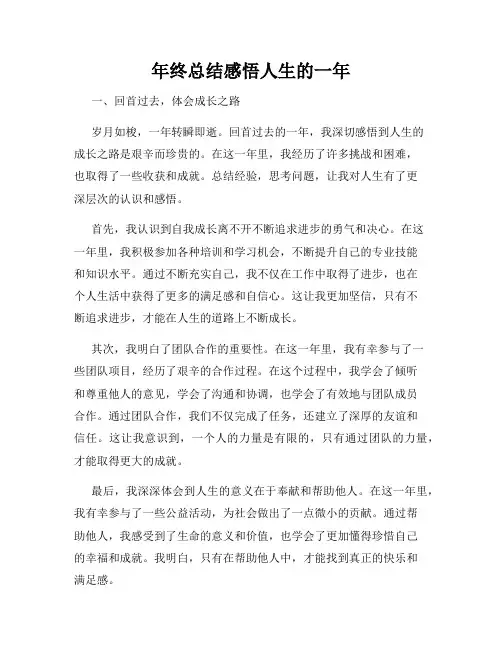 年终总结感悟人生的一年