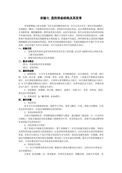 试验七茎的形态结构及其发育