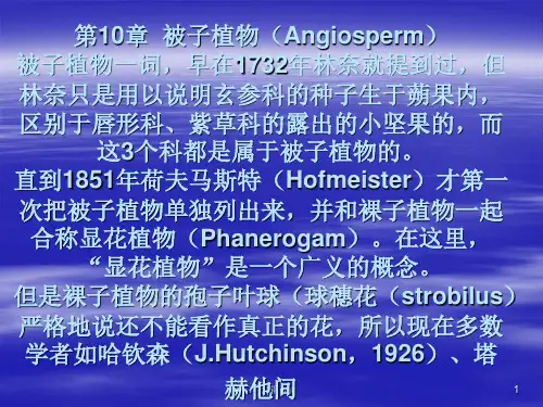 被子植物的特征分类原则