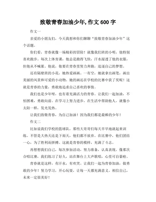 致敬青春加油少年,作文600字
