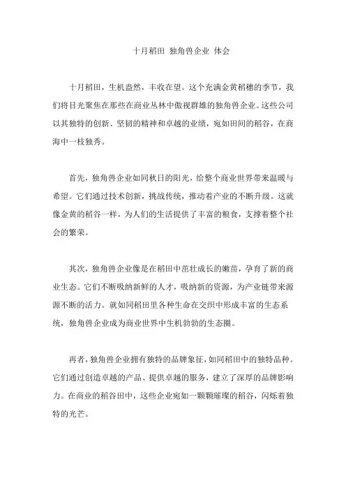 十月稻田 独角兽企业 体会