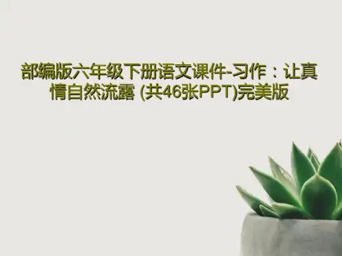 部编版六年级下册语文课件-习作：让真情自然流露 (共46张PPT)完美版49页PPT
