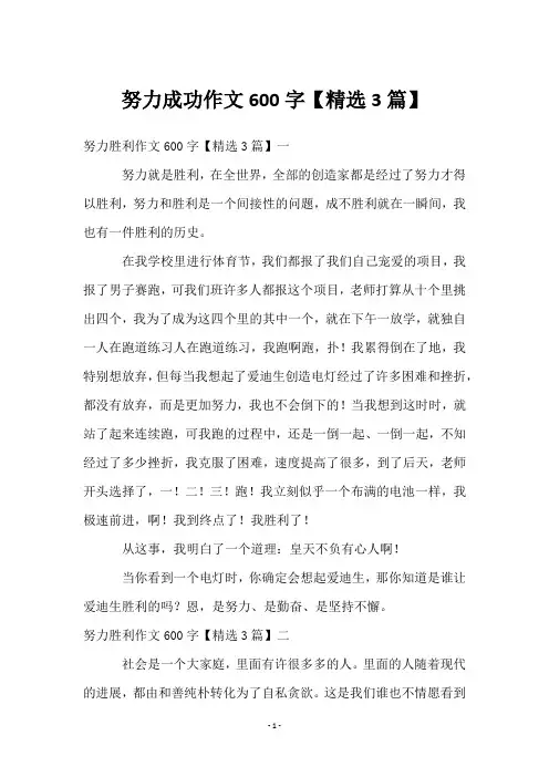 努力成功作文600字【3篇】
