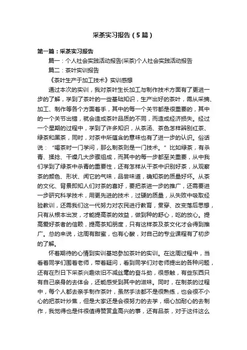 采茶实习报告（5篇）