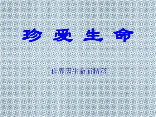 世界因生命而精彩课件2