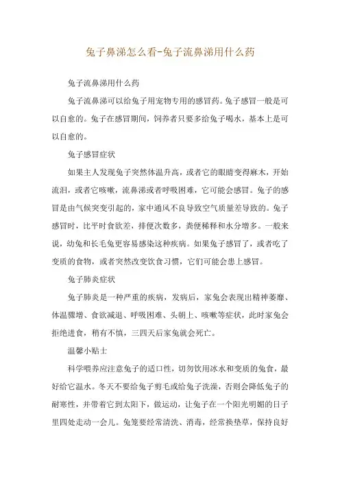 兔子鼻涕怎么看-兔子流鼻涕用什么药