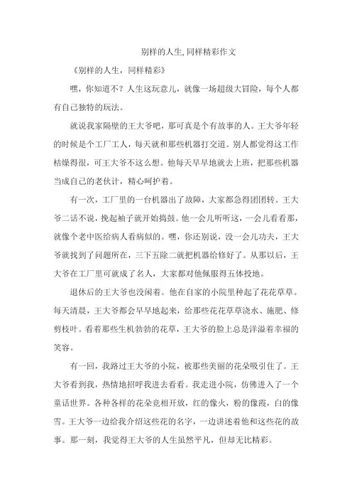 别样的人生,同样精彩作文