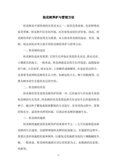 桂花树养护与管理方法
