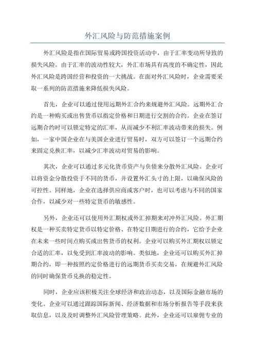 外汇风险与防范措施案例