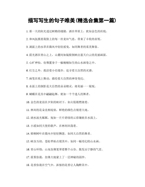 描写写生的句子唯美(精选合集两篇)