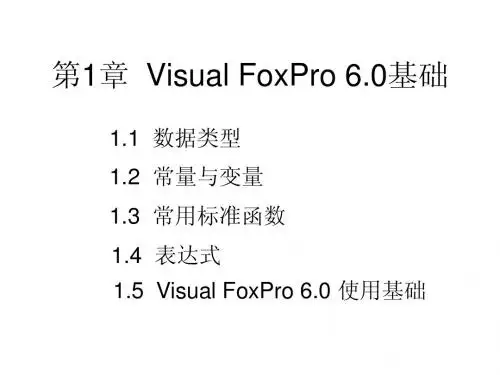 Visual FoxPro 6.0基础