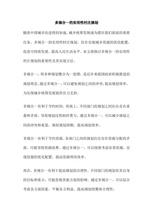 多规合一的实用性村庄规划