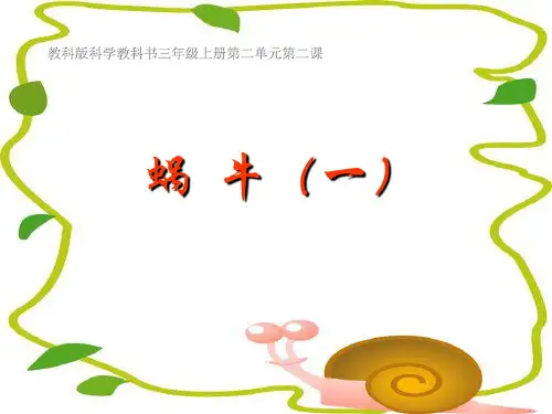 三年级科学上册科学-蜗牛-教科版-PPT课堂课件