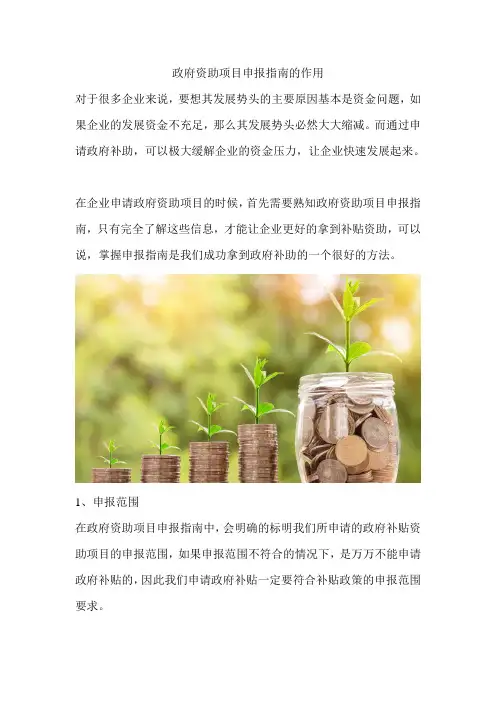 政府资助项目申报指南的作用
